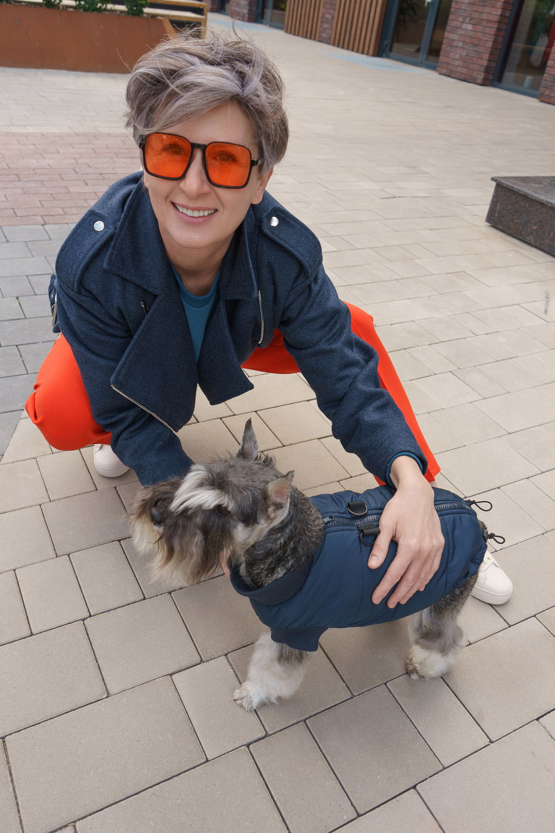 Vest for a dog Zircon