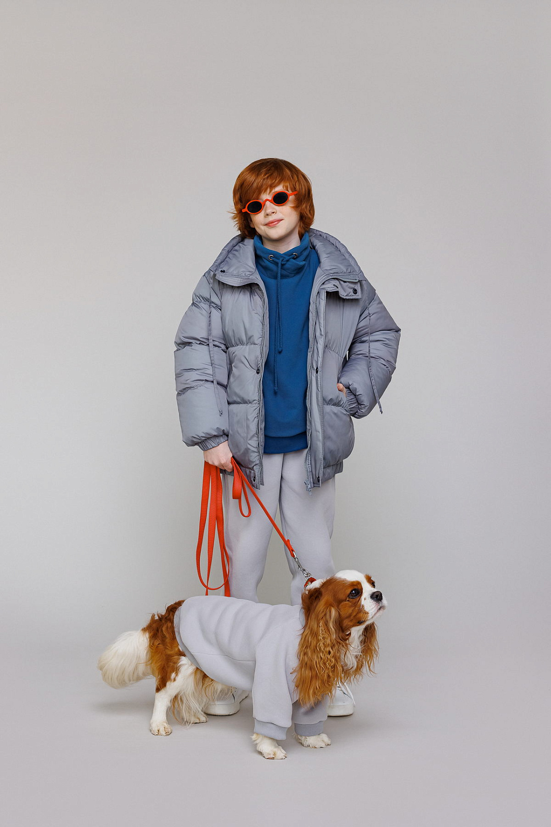 Sweatshirt for a dog Paw