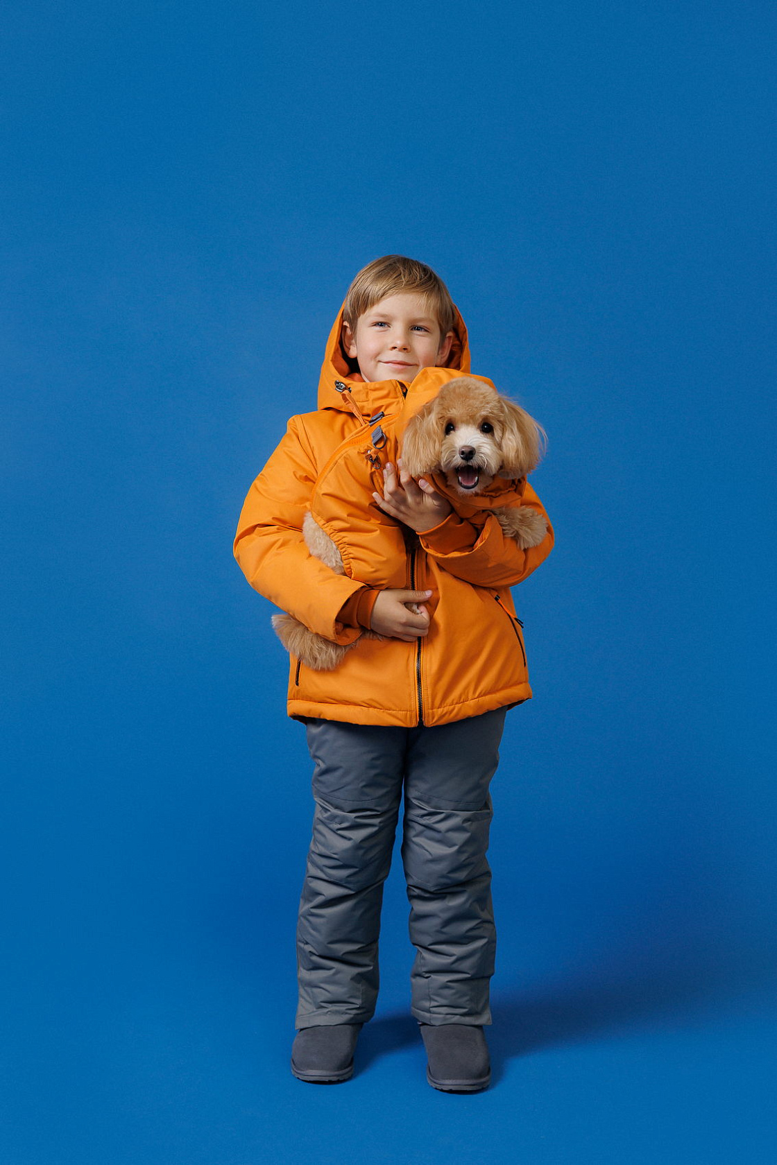 Jumpsuit for a dog Frost