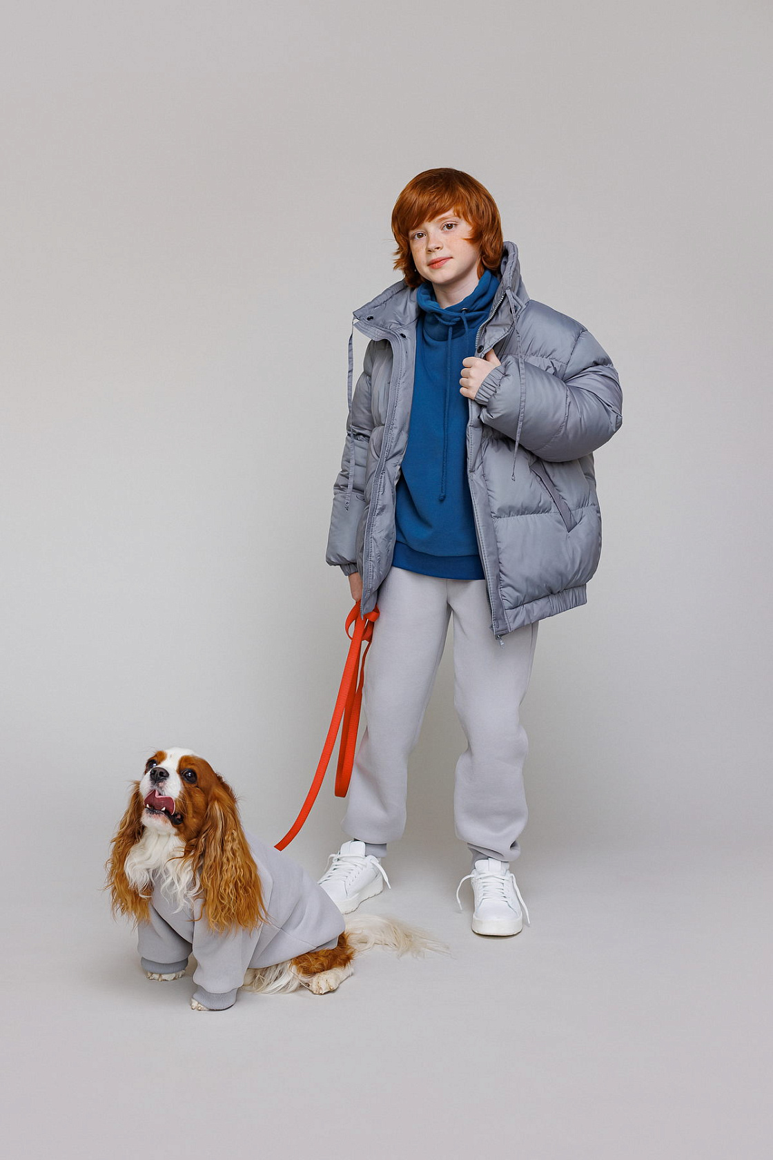 Sweatshirt for a dog Paw